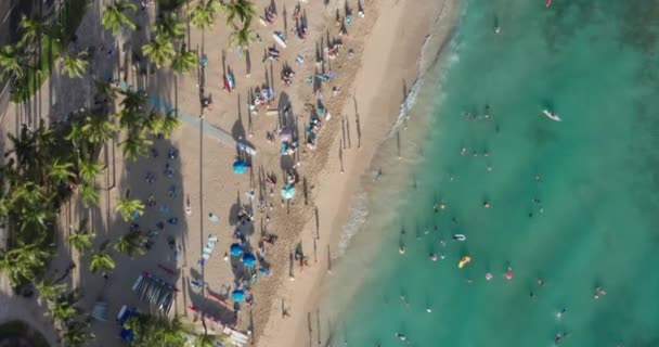 Honolulu Daki Waikiki Plajının Yukarıdan Aşağı Manzarası — Stok video