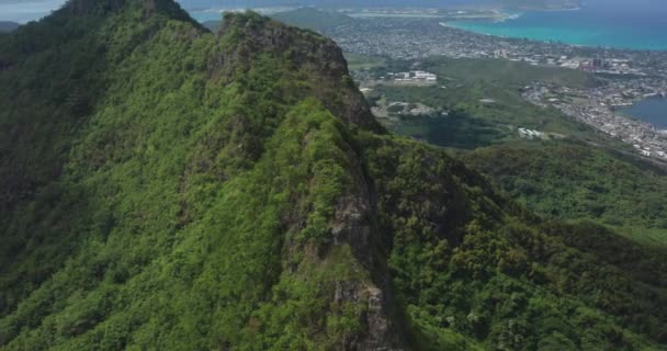 Hawaii Oahu Adasının Insansız Hava Aracı Görüntüsü — Stok video