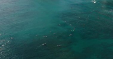 Waikiki Beach Honolulu 'da sörfçülerin insansız hava aracı görüntüsü