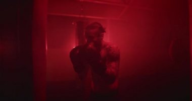 Erkek boksör boks antrenmanı yapıyor.