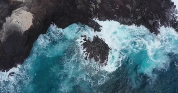 Vedere Drona Insulei Oahu Hawaii — Videoclip de stoc