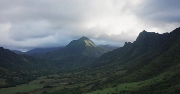 Drohnenblick Auf Dschungel Auf Oahu — Stockvideo