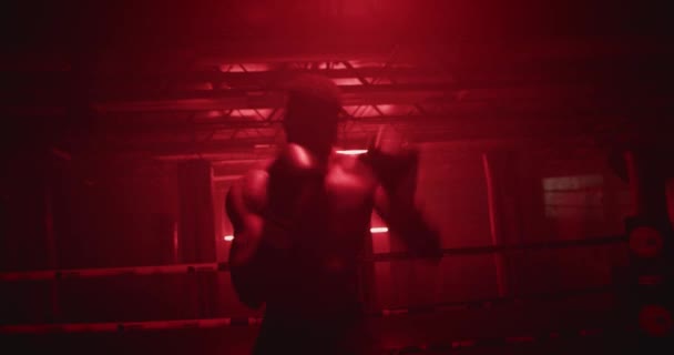 男子拳击训练在红色黑暗体育馆进行 — 图库视频影像
