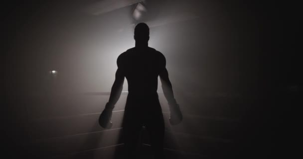 Silhueta Boxeador Preparando Para Lutar — Vídeo de Stock