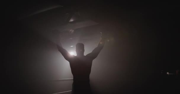 Silhouette Boxer Celebrating Winning Fight — Stock Video