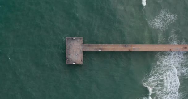 サニー諸島の桟橋の空中ビューのトップダウンフロリダ — ストック動画