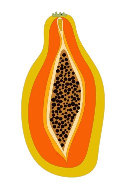  Papaya egzotik meyvesi. Düz elle çizilmiş stil. Stok çizimi. Kumaş ve ambalaj üzerine baskı yapmak için tasarlandı.