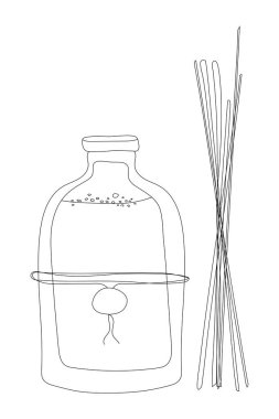 Beyaz arka planda izole edilmiş ahşap çubukları olan el yapımı aromatik difüzör. Stok çizimleri.