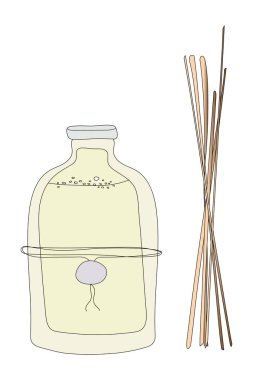 Beyaz arka planda izole edilmiş ahşap çubukları olan el yapımı aromatik difüzör. Stok çizimleri.