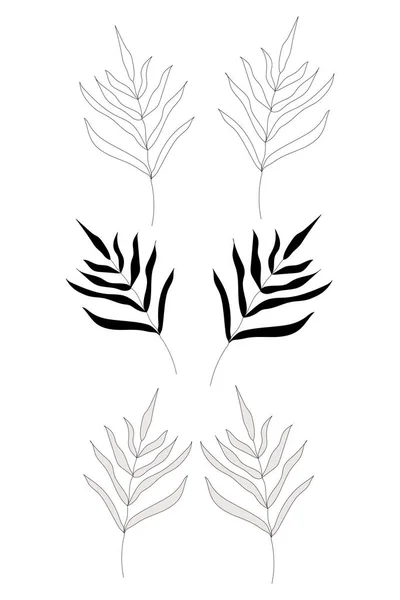 Nahtloses Muster Handgezeichneter Zweige Mit Blättern Schwarze Silhouetten Isoliert Auf — Stockvektor