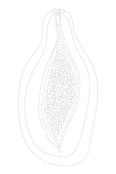 Moitié Icône Papaye Isolée Arrière Plan Illustration Plate Moitié Papaye — Image vectorielle