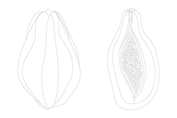 Die Hälfte Der Papaya Ikone Isoliert Auf Dem Hintergrund Flache — Stockvektor