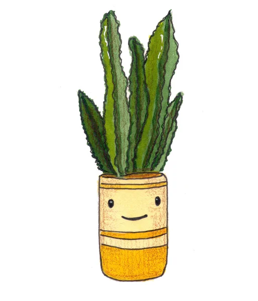 Leuke Cartoon Cactus Geïsoleerd Witte Achtergrond Aquarelillustratie Voor Het Bedrukken — Stockfoto