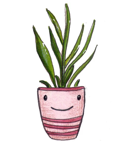 Leuke Cartoon Cactus Geïsoleerd Witte Achtergrond Aquarelillustratie Voor Het Bedrukken — Stockfoto