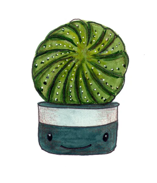 Leuke Cartoon Cactus Geïsoleerd Witte Achtergrond Aquarelillustratie Voor Het Bedrukken — Stockfoto