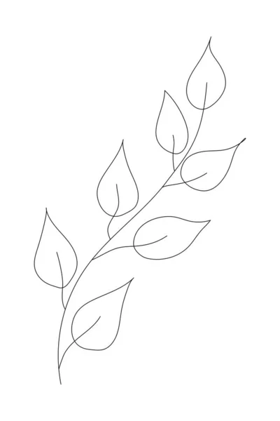 手描きのハーブ小枝の葉 花の小枝 春の花 ボタン ブレード ブッシュは白い背景に隔離されています 結婚式のデザイン ロゴやグリーティングカードのための落書きのアウトラインイラスト — ストック写真