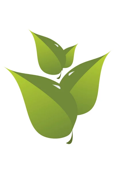 Iconos Hojas Verdes Ilustración Stock Plantilla Logotipo Diseño Logotipo Ecológico — Foto de Stock