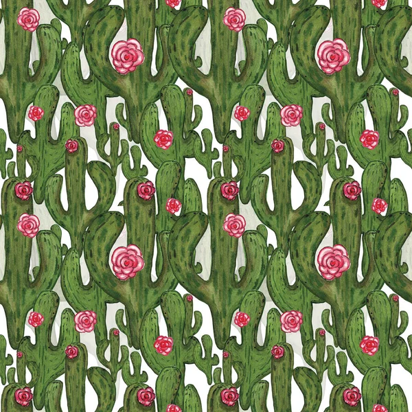 Akvarel Kaktus Hladký Květinový Vzor Pozadí Zeleným Kaktusem Růžové Květy — Stock fotografie