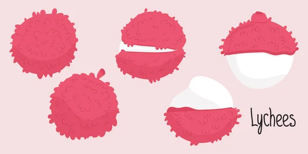 Bel Set Litchi Illustrazione Vettoriale Disegnata Mano Stile Piatto Rosa — Vettoriale Stock