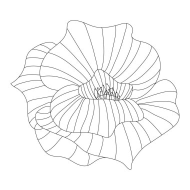 Doodle vektörü gelincik çizgisi simgesi beyaz arkaplanda izole edildi. El çizimi işareti. 
