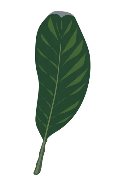 Зелений Лист Векторні Стокові Ілюстрації Ізольовані Білому Тлі Природа Раю — стоковий вектор
