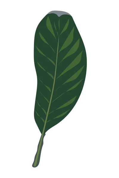 Groene Blad Vector Voorraad Illustratie Geïsoleerd Witte Achtergrond Paradijs Natuur — Stockvector