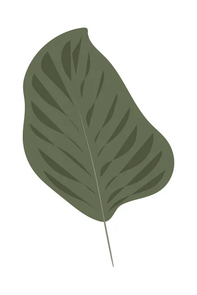 Ilustración Fondo Hoja Verde Aislada Sobre Fondo Blanco Naturaleza Paradisíaca — Archivo Imágenes Vectoriales