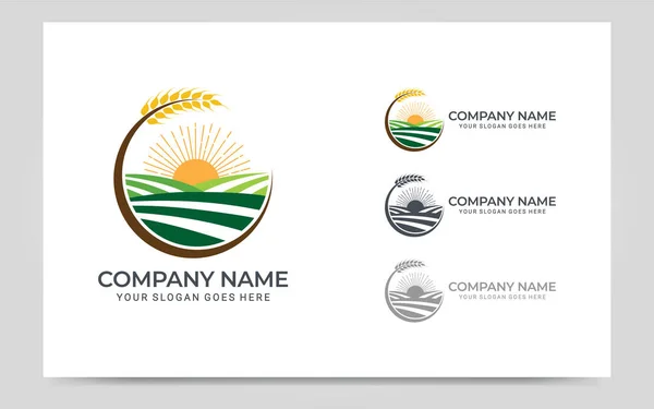 Pirinç tarlası logo tasarımı. Düzenlenebilir logo tasarımı