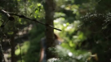 Genç kadın modeli orman yürüyüş