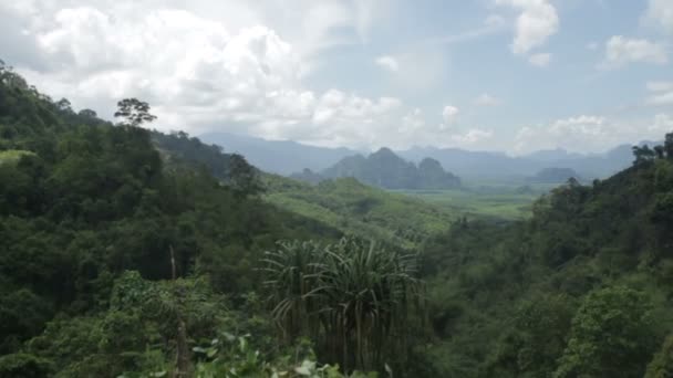 Tropenwald an einem sonnigen Tag — Stockvideo