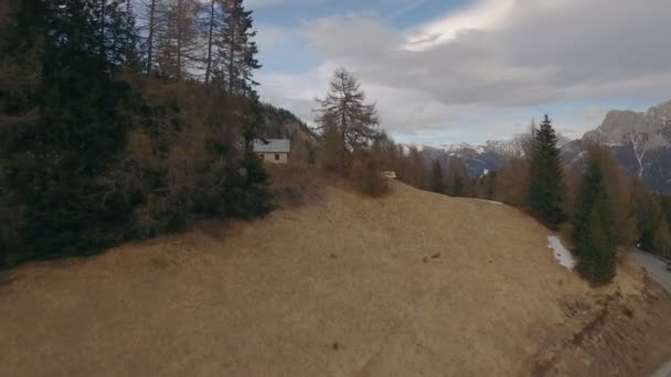 Forêts et champs de montagne 