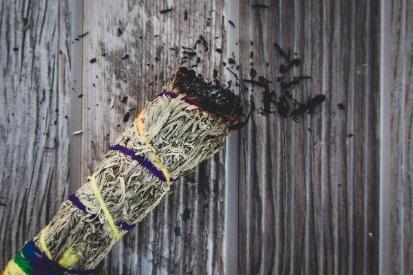 Bunt Salvia Trä Bakgrund — Stockfoto