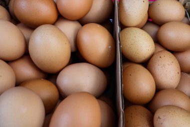 Meksika 'daki organik marketteki tek yumurta sarısı yumurtalarına kıyasla çift yumurta sarısı.