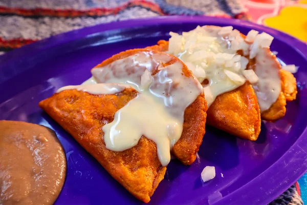 Plato Enchiladas Potosinas México — Foto de Stock