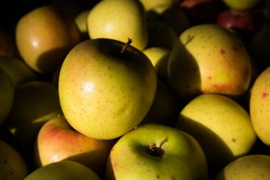 Kaliforniya 'da bir çiftçi pazarında sarı elmalar