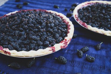 Açık hava pikniğinde mor tekstil üzerine iki dut turtası.