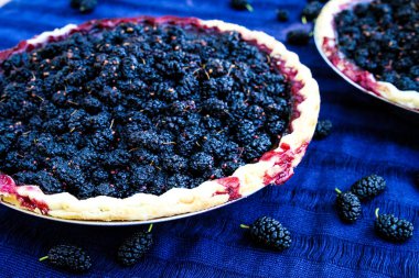 Açık hava pikniğinde mor tekstil üzerine iki dut turtası.