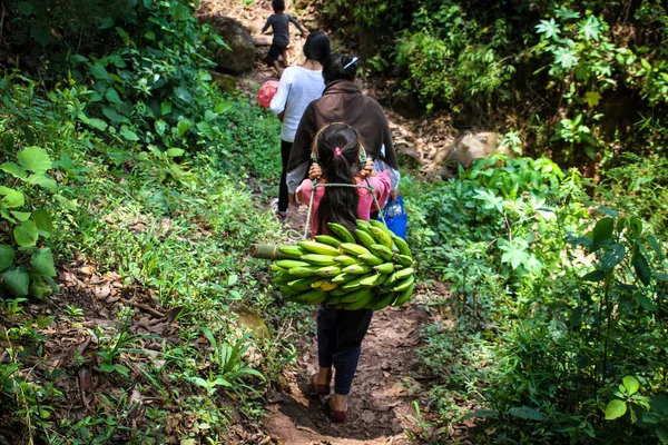Genç kız, San Juan Cancuc, Chiapas, Meksika 'da ailesiyle birlikte ormanda muz taşıyor.