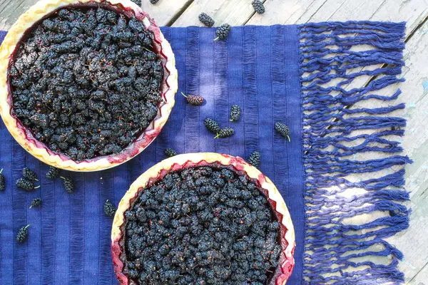 Zwei Maulbeerkuchen Auf Violettem Textil Beim Picknick Freien Overhead — Stockfoto