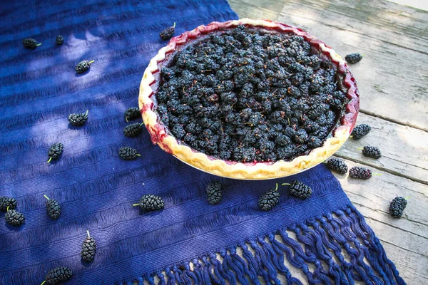Maulbeerkuchen Auf Lila Textilien Bei Einem Picknick Freien — Stockfoto