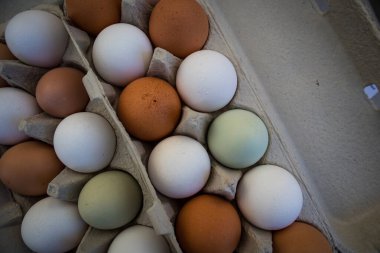 Beyaz, krema, kahverengi ve yeşil doğal renklerde bir karton organik yumurta.