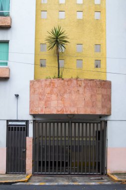 Mexico City 'de palmiye ağacı olan modern bir apartman.