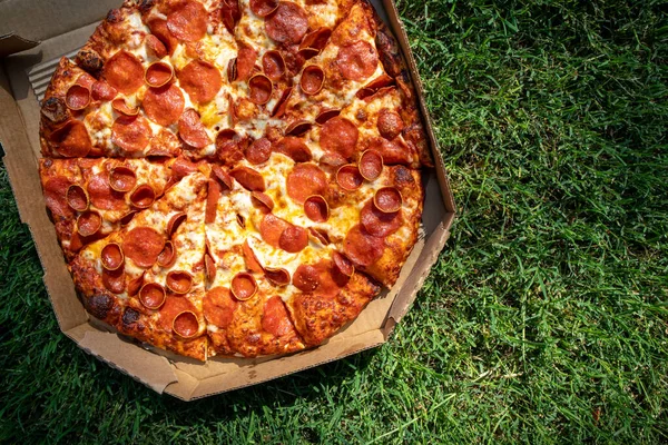 Pepperoni Pizza Dans Une Boîte Carton Sur Herbe Lors Pique — Photo