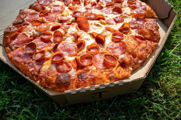 Pepperoni Pizza Dans Une Boîte Carton Sur Herbe Lors Pique — Photo
