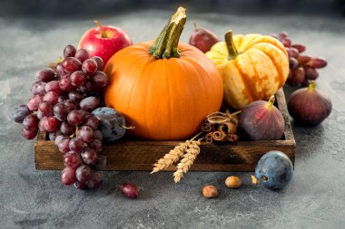 Kabak, üzüm, Erik, incir, elma ile sonbahar hasat. teşekkürler