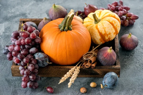 Cosecha de otoño con calabaza, uvas, ciruelas, higos, manzanas. Sanidad —  Fotos de Stock