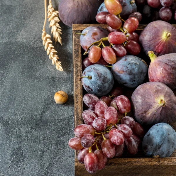 Uve, prugne, fichi. Ringraziamento, cibo biologico sfondo, squa — Foto Stock