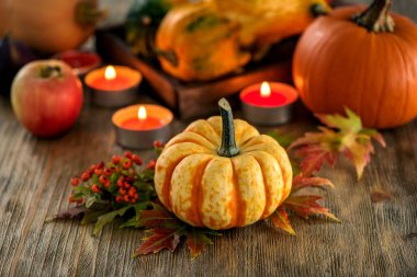 Sonbahar sofra pumpkings ve mum, Güz ev dekorasyonu