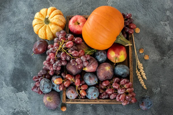 Cosecha de otoño con calabaza, uvas, plumas, higos, manzanas. Gracias. —  Fotos de Stock