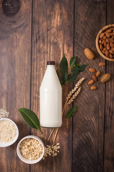 Leche Vegana Vegetal Botella Con Ingredientes Imágenes de stock libres de derechos